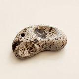 Foraged Bean Ceramic Incense Holder | Bean-shaped